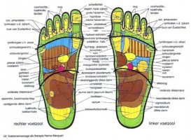 Over voetreflexologie – Gastblog van Jose Fikken